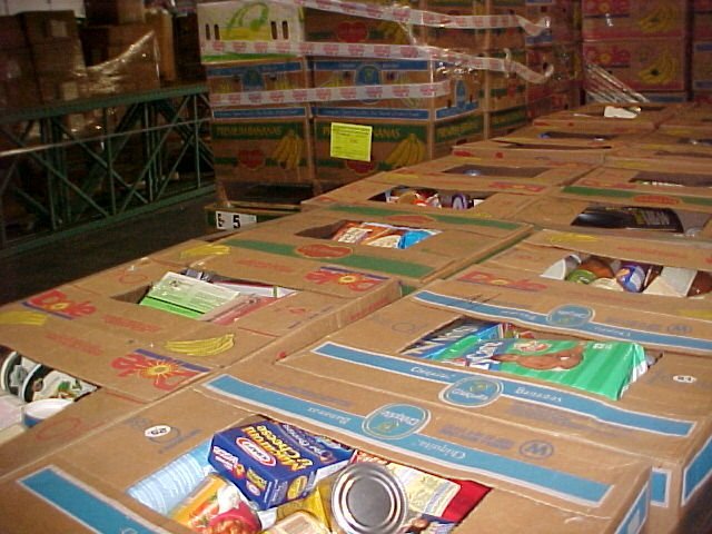 Grocery Pallets - Image 3